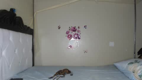 Grovin online show from October 2, 11:09 am