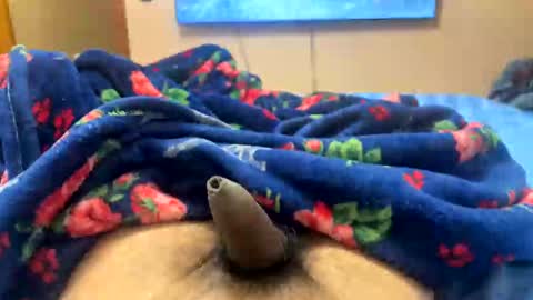 harry11009 online show from November 3, 2:12 am