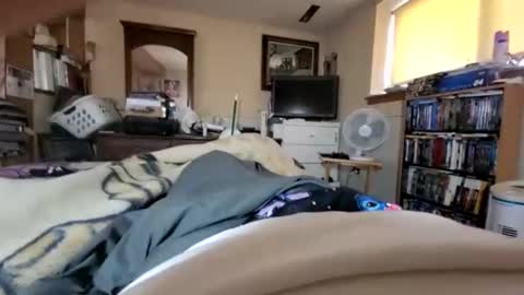 hawkfan1888 online show from January 26, 5:02 pm