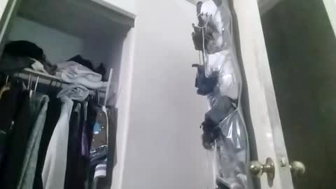 hbdj2164 online show from December 20, 9:11 am