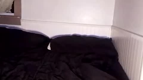 headshothoney online show from September 26, 9:50 am