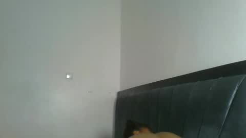 heilybunny online show from May 7, 12:06 am
