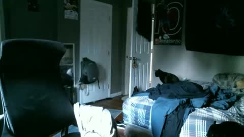 longhairbeardedguy online show from April 10, 11:48 am