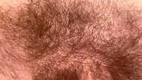 Arnold online show from March 29, 7:15 pm