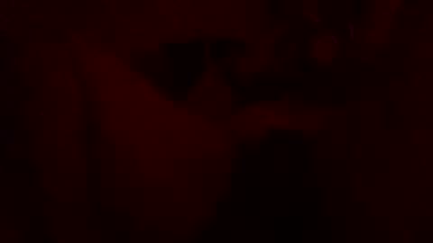 ReDD online show from July 30, 7:53 am