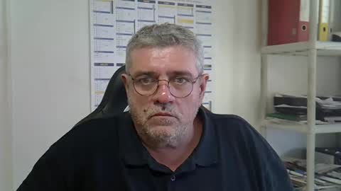 hippo online show from December 2, 2:36 pm