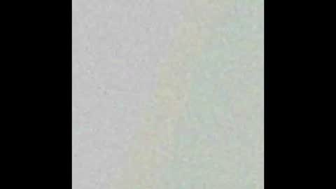 Hung top 4 furry dads online show from March 9, 1:26 pm