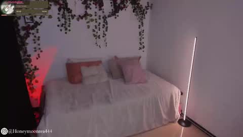       online show from February 24, 10:14 pm