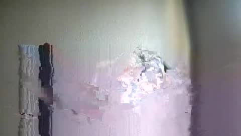 hongdong online show from February 1, 10:23 pm