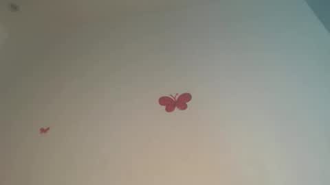 Iris online show from April 14, 9:18 pm