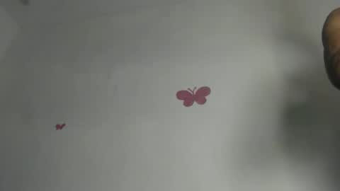 Iris online show from February 16, 7:56 pm