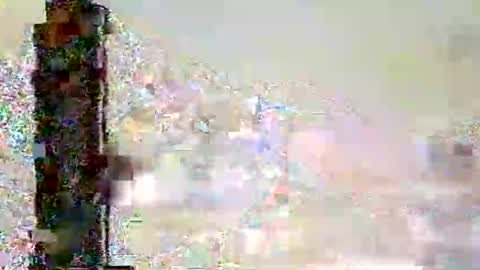 andalia online show from February 13, 3:21 am