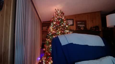 horsebigballs online show from January 19, 5:15 am