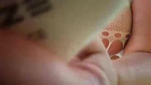 kittens online show from February 12, 6:55 pm