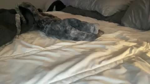 hottiewithabody101 online show from February 24, 5:16 pm