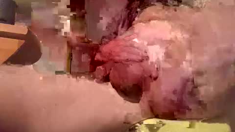 hottinrh2 online show from April 19, 8:15 am