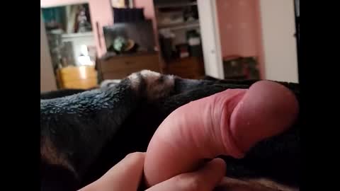 hourpower420 online show from December 27, 5:16 pm