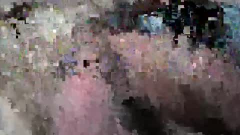 hrubesch2019 online show from December 1, 2:26 pm