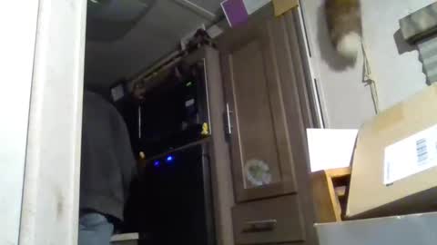 Blackwise online show from February 17, 8:52 am