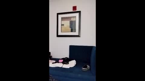 hydrakinglaser online show from February 5, 2:04 am