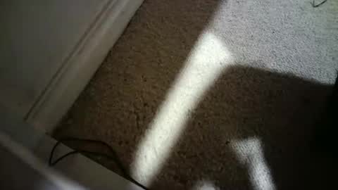 Hypeman online show from February 17, 7:51 am