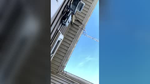 HyperGiant online show from February 12, 2:09 pm