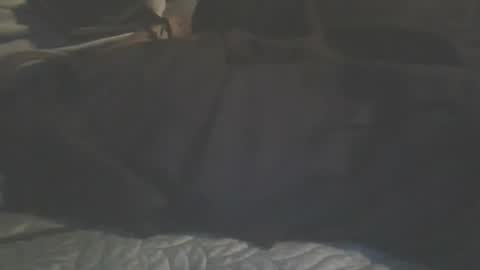 TeamCheamCreems online show from April 5, 10:34 am