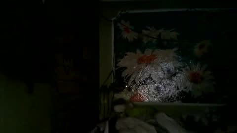 hypnoticnectar online show from May 6, 9:59 am
