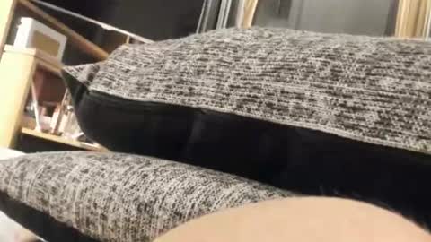 idfunguy2023 online show from March 14, 11:42 pm