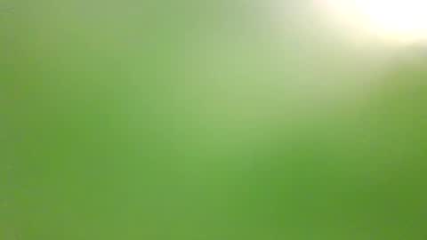 Snapshot of illuminatiheadspace1 chatting on October 3, 1:15 am illuminatiheadspace1 online show from October 3, 1:15 am