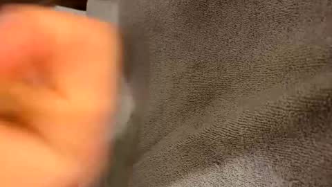 iltjoal69 online show from March 5, 10:33 am