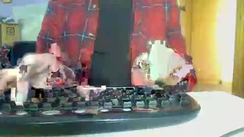 Aussie Guy online show from November 2, 10:32 pm