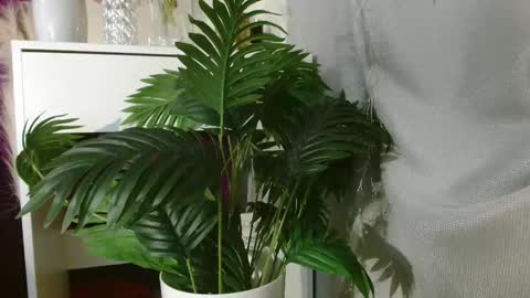 Carrie online show from November 15, 5:36 pm