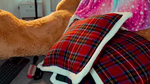 Joanna  Independent model. online show from November 16, 8:44 pm