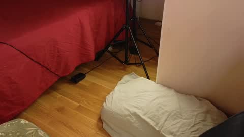 OTIS and MILIY online show from January 24, 6:25 pm