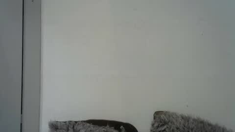 indianqtpie6 online show from April 11, 7:45 am