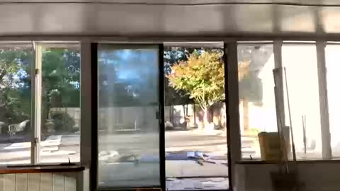 IntoTheWoodsWeGo online show from October 16, 9:02 pm