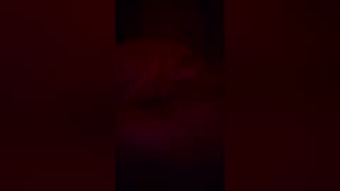 irishbigd93 online show from June 30, 2:44 am