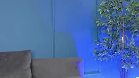 irissbell online show from December 4, 7:08 am