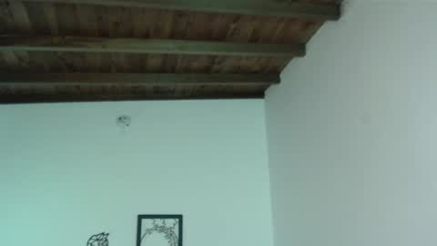 Iris online show from January 16, 6:06 pm