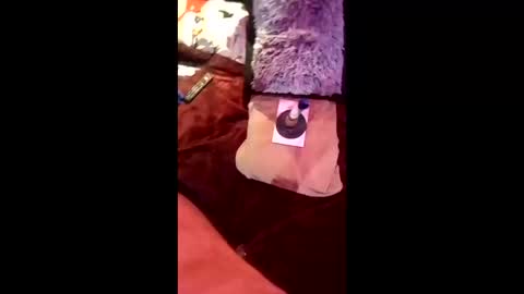 Ral online show from April 16, 11:32 am