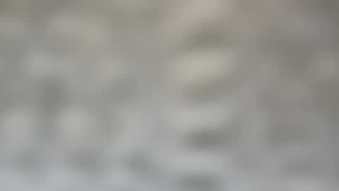 j727551 online show from February 15, 7:28 pm