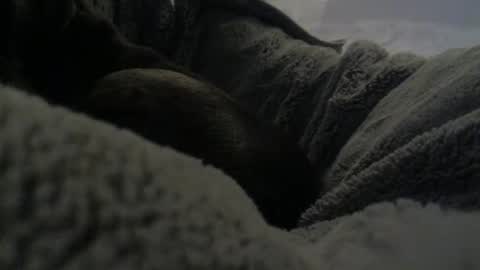 jackad44 online show from October 17, 6:34 pm