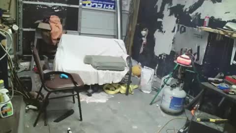 funtimes49203 online show from April 2, 9:55 pm