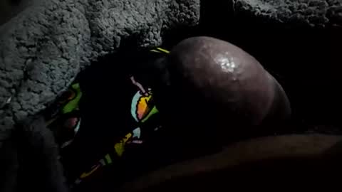 jackwiskyhoney online show from January 14, 3:14 am