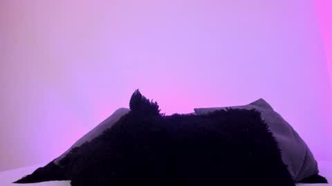 Mady online show from December 20, 1:14 am