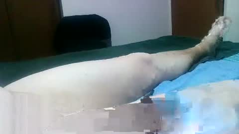 Jaks online show from January 31, 6:47 pm