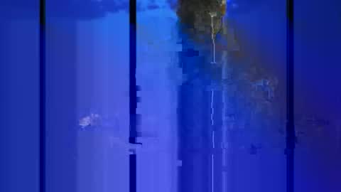 jalapeno2022 online show from October 16, 6:29 pm