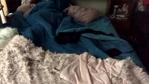 James online show from November 6, 11:02 am