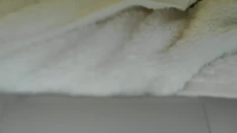 james_dong_007 online show from April 8, 9:40 pm